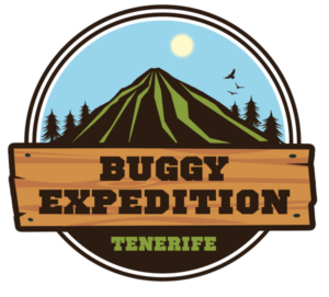 Buggy Experience Tenerife